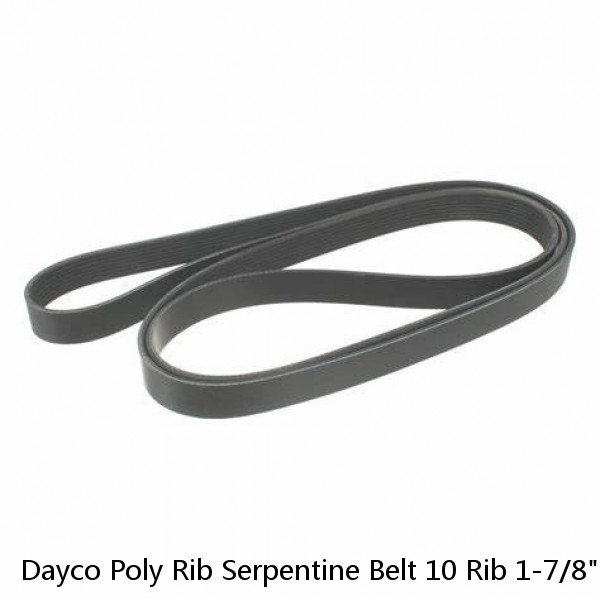 Dayco Poly Rib Serpentine Belt 10 Rib 1-7/8" Wide 131" Long #1310L10