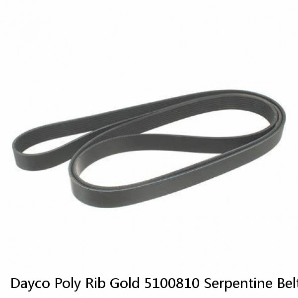 Dayco Poly Rib Gold 5100810 Serpentine Belt 10PK2057