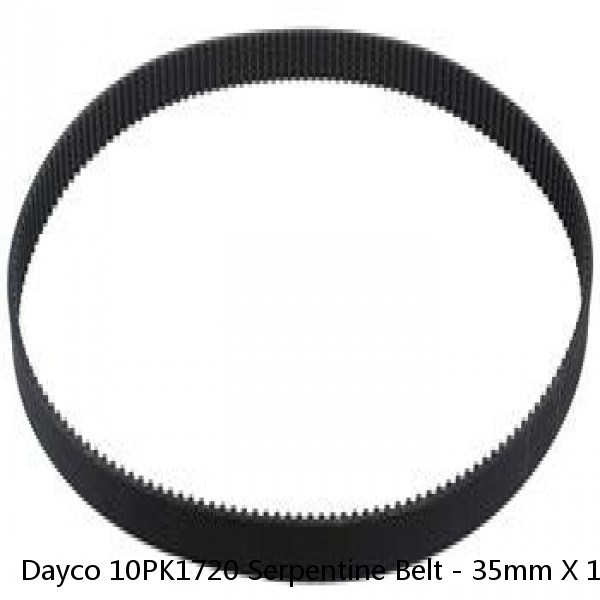 Dayco 10PK1720 Serpentine Belt - 35mm X 1720mm - 10 Ribs