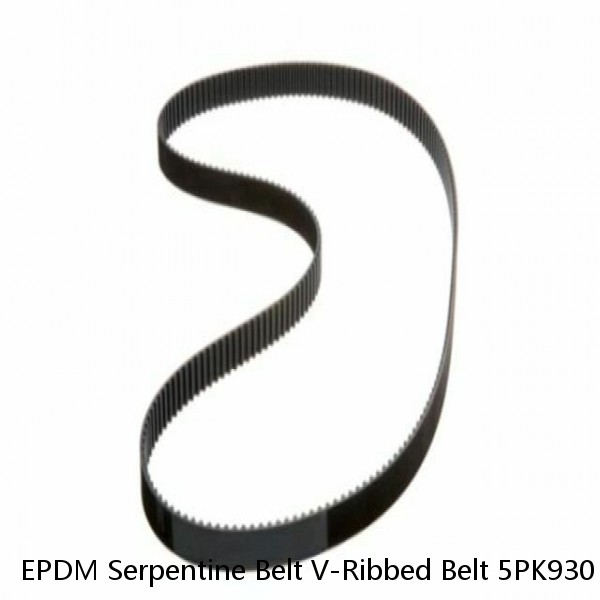 EPDM Serpentine Belt V-Ribbed Belt 5PK930 for Audi TT Quattro Honda Accord Colt  (Fits: Audi)