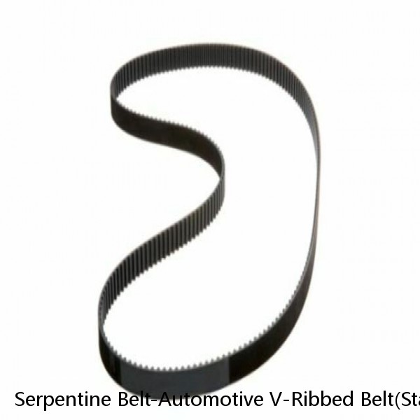 Serpentine Belt-Automotive V-Ribbed Belt(Standard) Roadmax 5K435AP (Fits: Audi)