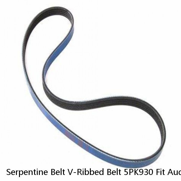 Serpentine Belt V-Ribbed Belt 5PK930 Fit Audi TT Quattro Honda Accord Colt EPDM  (Fits: Audi)